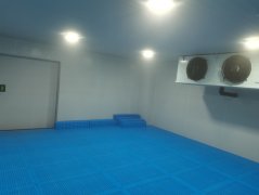 小型2-8度醫藥冷庫